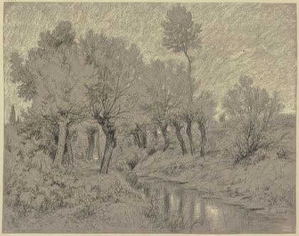 Willows at a stream