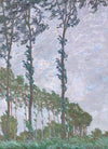 Wind Effect, Series of The Poplars