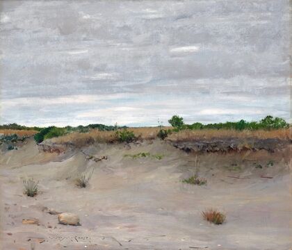 Wind-Swept Sands