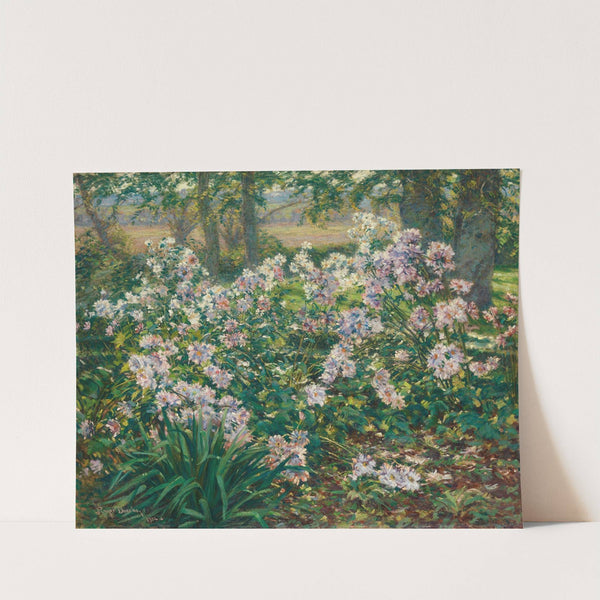 Windflowers by Ruger Donoho