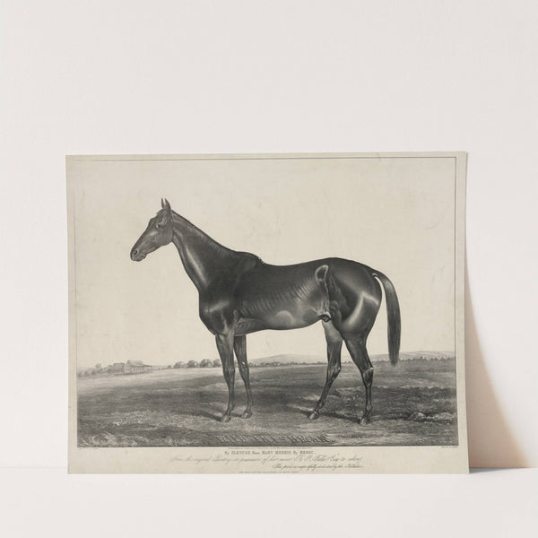 Winning ‘hands down,’ with a good second (1887) by Currier & Ives.