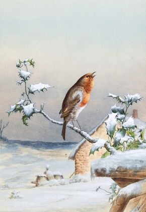 Winter –Â A Cock Robin