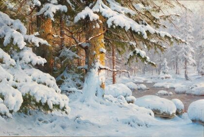 Winter im Wald