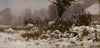 Winter landscape