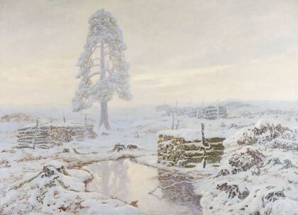 Winter landscape