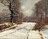Winter landscape of forests near Hillerød