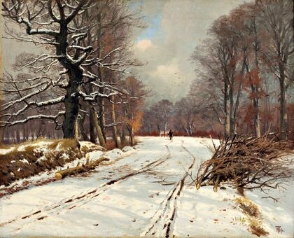 Winter landscape of forests near Hillerød