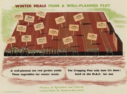 Winter Meals from a Well-Planned Plot