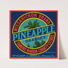 Wissahickon Brand Pineapple Oranges Label (1930-1950)