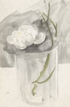 Witte bloem in een glas