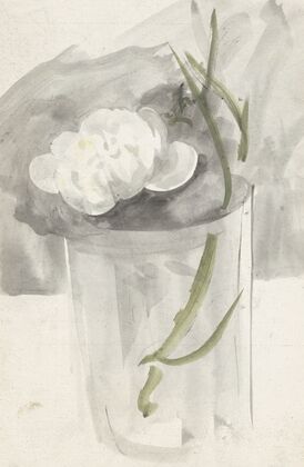 Witte bloem in een glas