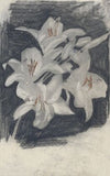 Witte lelies