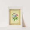 Wood Anemone & Periwinkle (1869) by John Henry Ingram