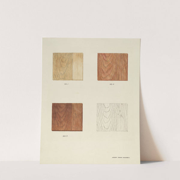 Wood Grain (Demo.) by Harry Mann Waddell
