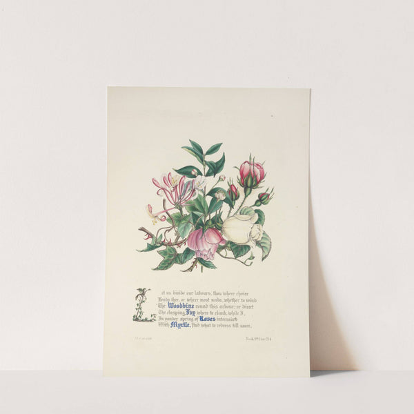 Woodbine, ivy, roses and myrtle by Jane Elizabeth Giraud