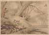 Woodcock Shooting