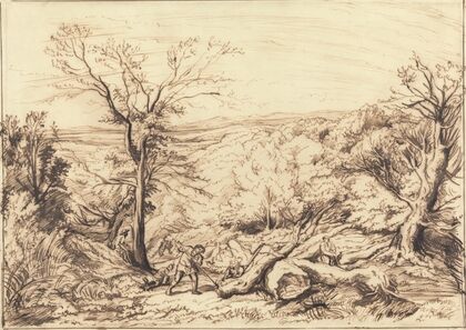 Woodcutters in a Forest