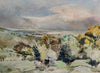 Wooded Landscape