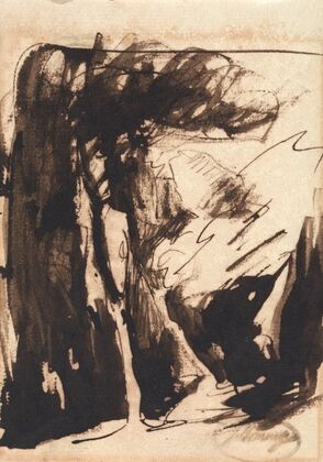 Wooded Landscape