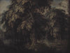 Wooded Landscape