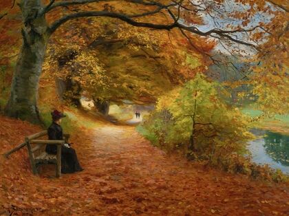 Wooded Path In Autumn