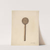 Wooden Butter Stamp by Frank Gray
