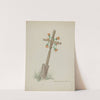 Wooden Cross used as Headstone by Majel G. Claflin