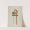 Wooden Spoon Rack by Sarkis Erganian