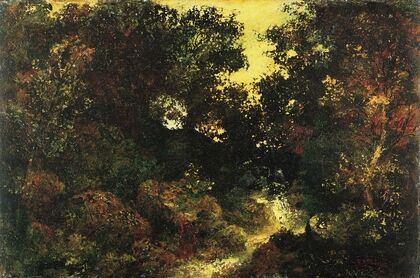 Woodland Brook 