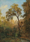 Woodland Interior