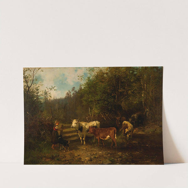 Woodland Pasture by Anders Askevold