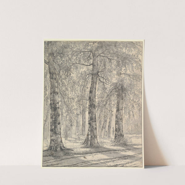 Woodland Scene by Pieter George Westenberg