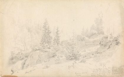 Woodland Scene