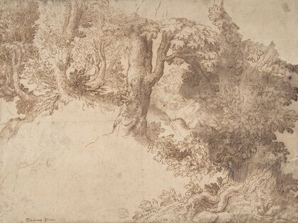 Woodland Scene with Light Sketch of a Madonna and Child