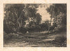 Woodland with nymph