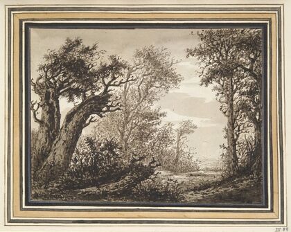 Woody Landscape