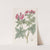 Wooly-flowered Geranium by Sydenham Edwards
