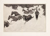Working snow-bound ponies out of the mountains (1900)