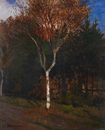 Worpsweder Landschaft. Junge Birke am Wegesrand