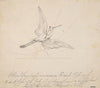 Wounded Crane with an Arrow in its Breast Before Setting Sun