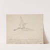 Wounded Crane with an Arrow in its Breast Before Setting Sun (late 19th–early 20th century) by Max Klinger