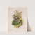 Wren’s nest and ferns (1874) by Olive E Whitney