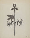 Wrought Iron Weather Vane