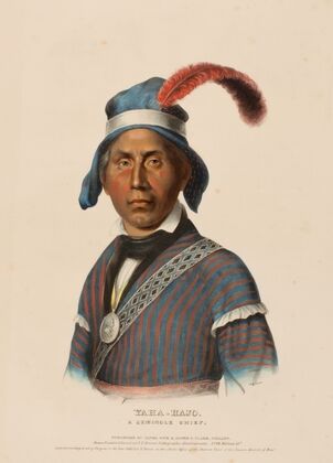 Yaha-Hajo. A Seminole Chief