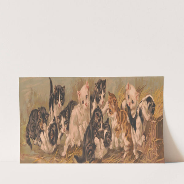 Yard of cats (1895)