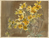 Yellow and Orange Flower.