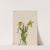 Yellow Lady’s Slipper (Cypripedium parviflorum) (1920) by Mary Vaux Walcott