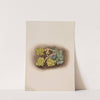 Yellow Stonecrop (Sedum stenopetalum) (1922) by Mary Vaux Walcott