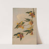 Yellow Warbler (1830-1833) by Joseph Bartholomew Kidd