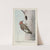 Yellow Wing the Flicker by Louis Agassiz Fuertes